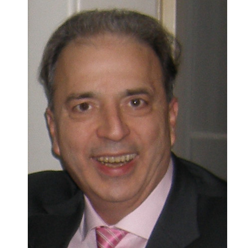 prof. dr. sc. Mihael Skerlev